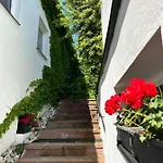 Penzion, Vinný Sklep A Café Bárta Mikulov