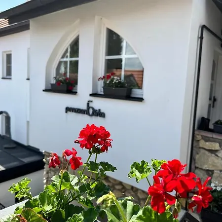 Penzion, Vinny Sklep A Cafe Barta Guest house