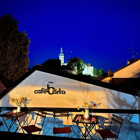 Penzion, Vinný Sklep A Café Bárta Mikulov