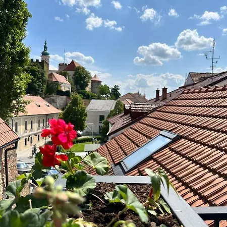 Penzion, Vinny Sklep A Cafe Barta *