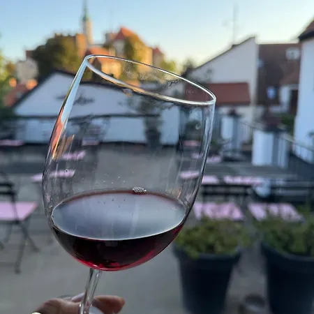 Maison d'hôtes Penzion, Vinný Sklep A Café Bárta