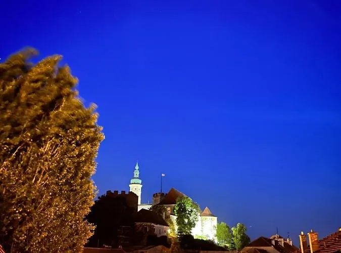 Penzion, Vinný Sklep A Café Bárta Mikulov