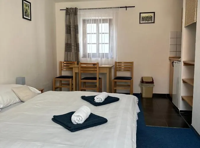 Pensión Penzion, Vinný Sklep A Café Bárta 3*